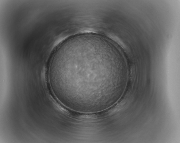 X0000115331404200911091236