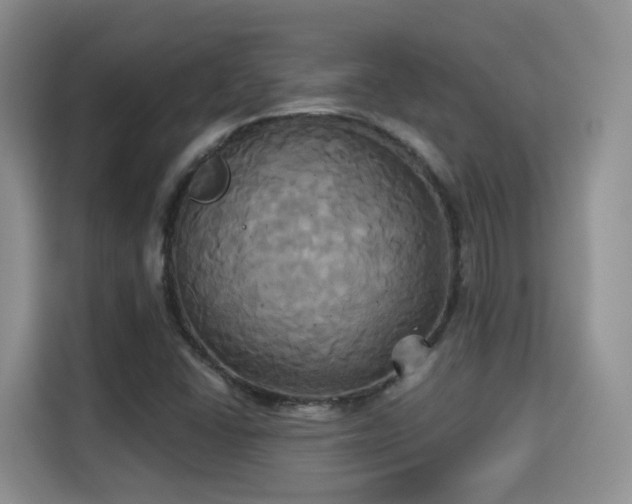 X0000115331406200911091236