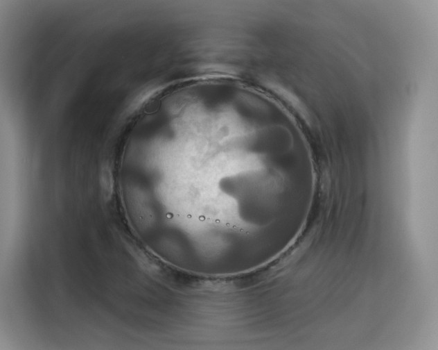 X0000115331407200911091236