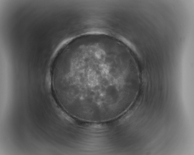 X0000115331408200911091236