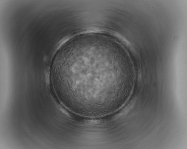 X0000115331409200911091236