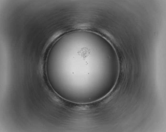 X0000115331410200911091236