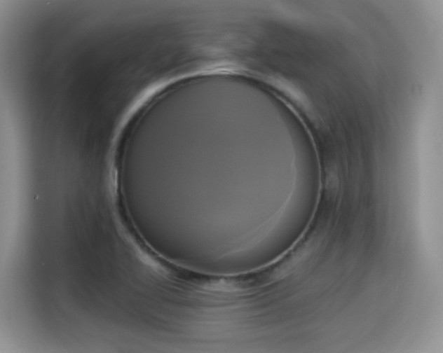 X0000115331414200911091236