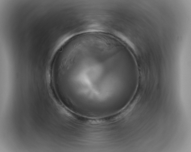 X0000115331415200911091236