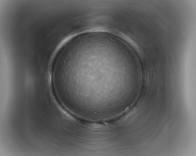 X0000115331416200911091236
