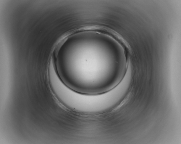 X0000115331417200911091236