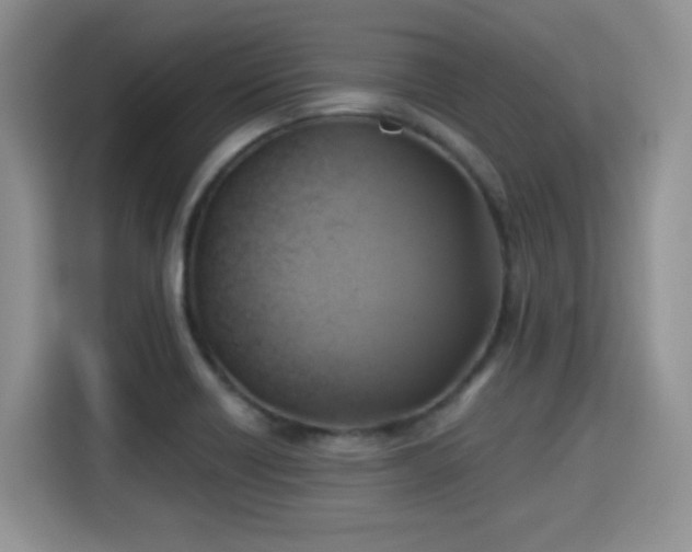 X0000115331418200911091236