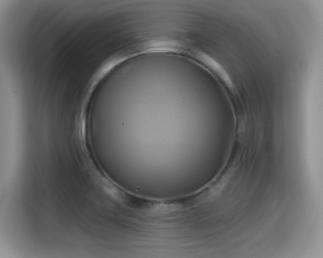 X0000115331419200911091236