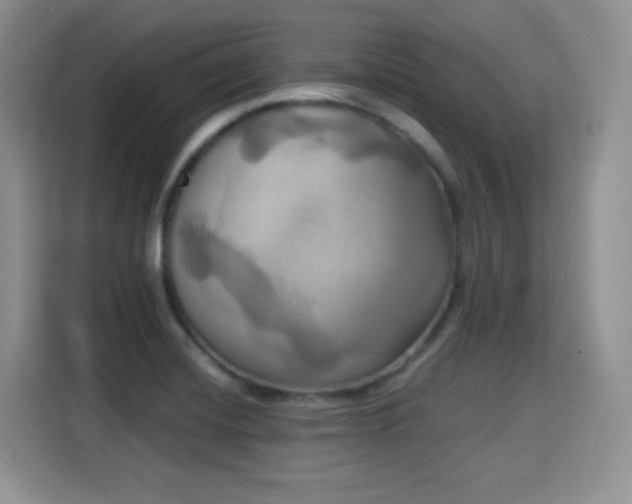 X0000115331420200911091236