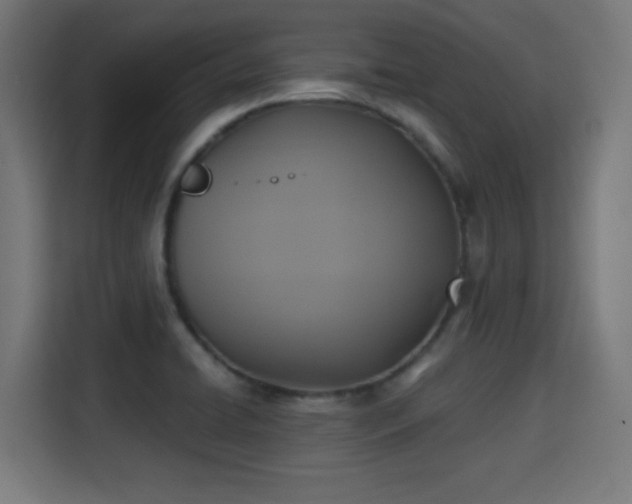 X0000115331422200911091236