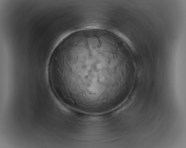 X0000115331423200911091236