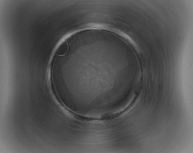 X0000115331424200911091236