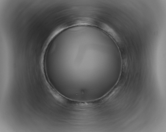 X0000115331427200911091236