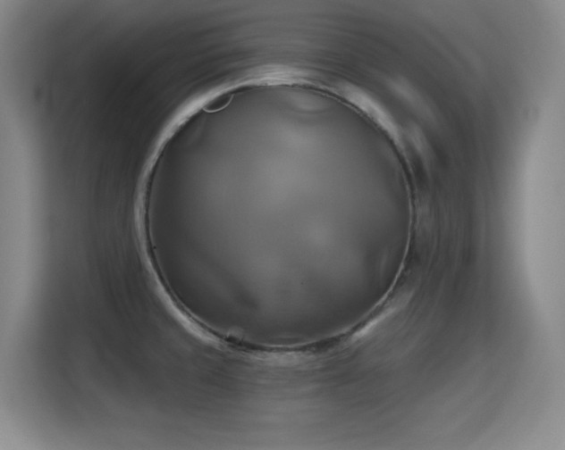 X0000115331429200911091236