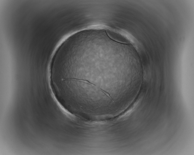X0000115331430200911091236