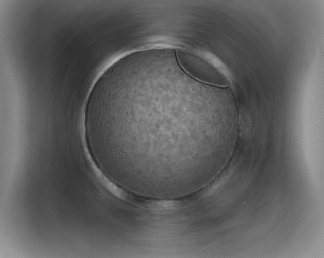 X0000115331431200911091236