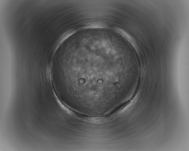 X0000115331433200911091236