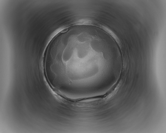 X0000115331434200911091236