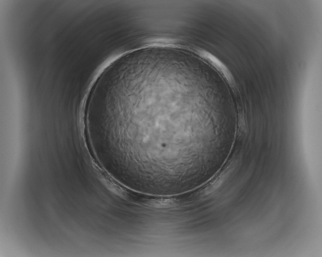 X0000115331435200911091236