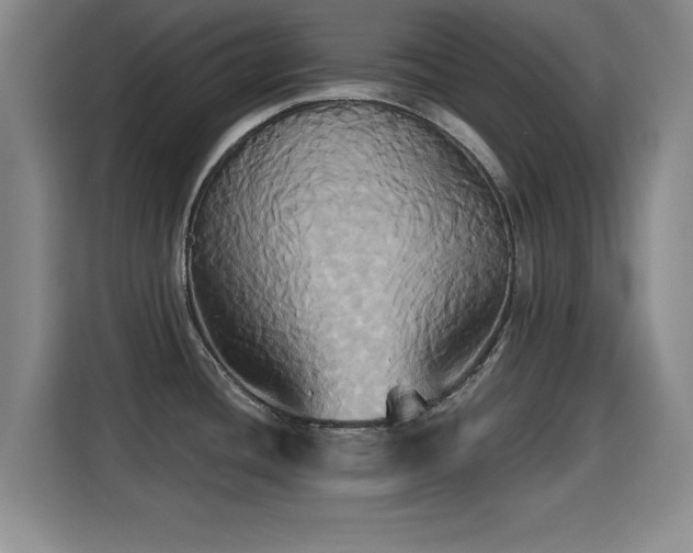 X0000115331436200911091236