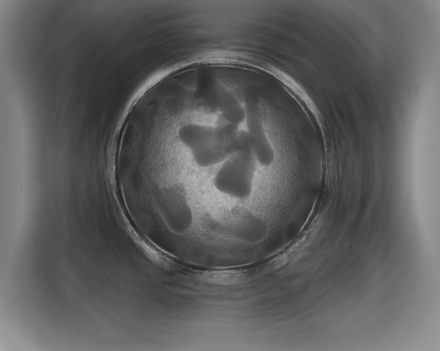 X0000115331437200911091236