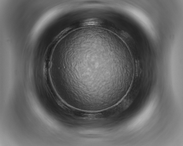X0000115331438200911091236