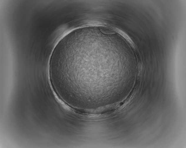X0000115331439200911091236