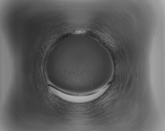 X0000115331441200911091235