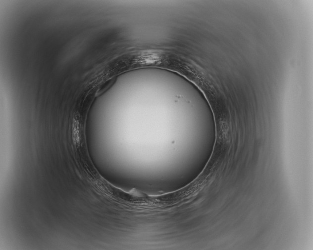 X0000115331442200911091235