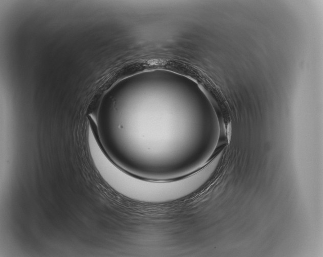 X0000115331443200911091235