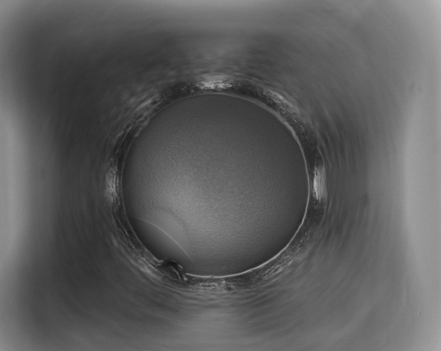 X0000115331444200911091235