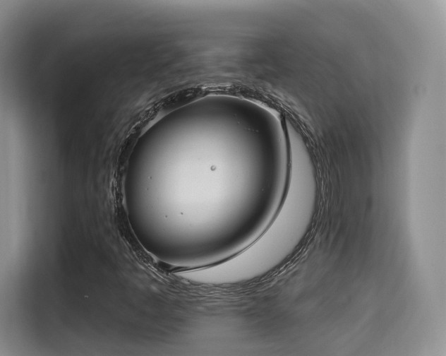 X0000115331445200911091235