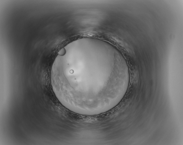 X0000115331446200911091235