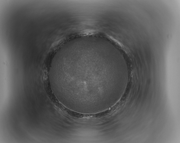 X0000115331447200911091235