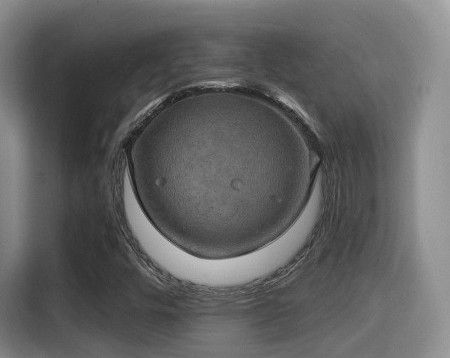 X0000115331448200911091235