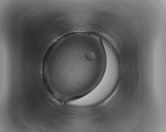 X0000115331449200911091235