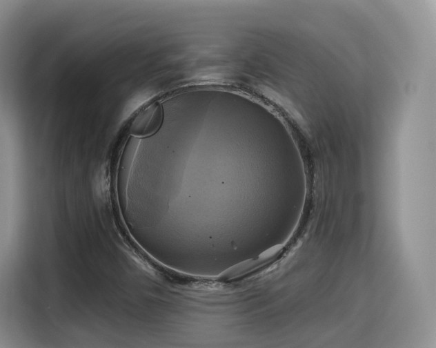 X0000115331450200911091235
