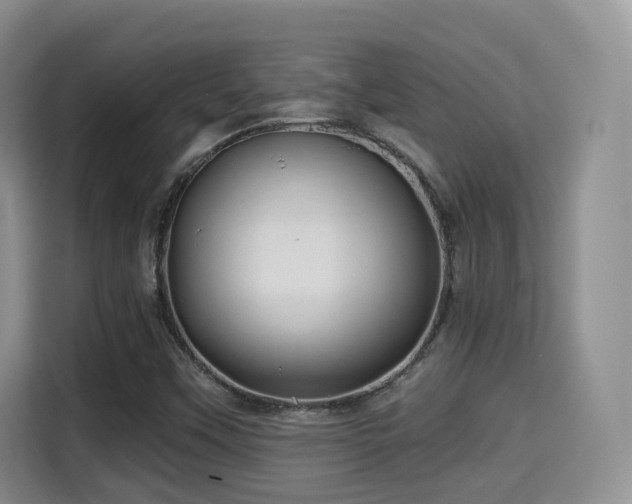 X0000115331451200911091235