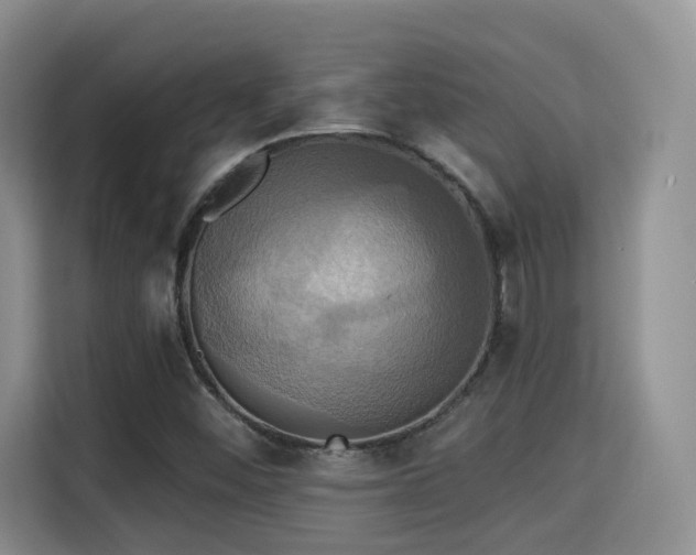 X0000115331452200911091235