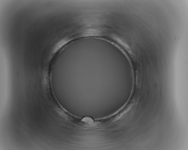 X0000115331453200911091235