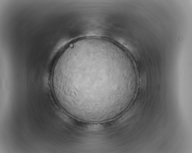 X0000115331454200911091235