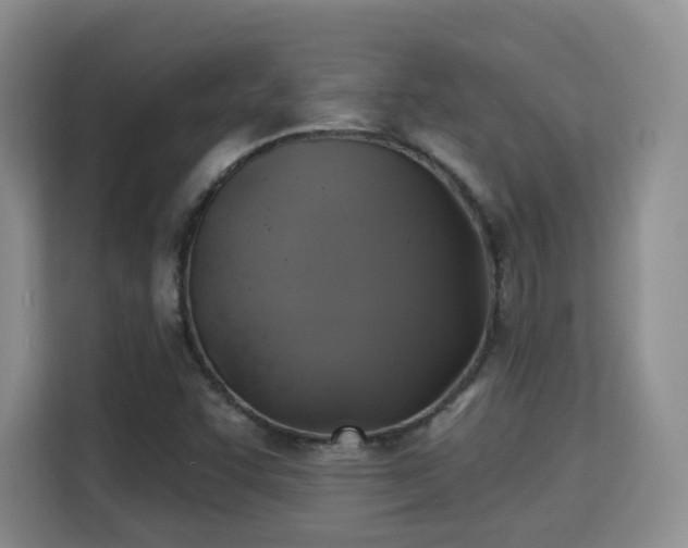 X0000115331455200911091235