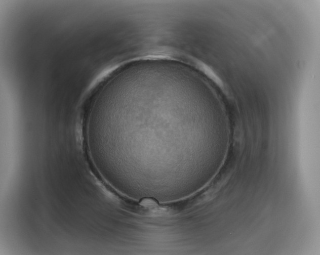 X0000115331456200911091235
