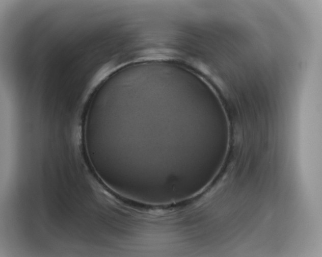 X0000115331459200911091235