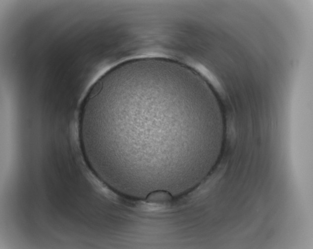 X0000115331460200911091235