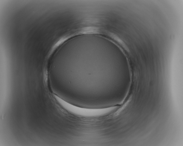 X0000115331461200911091235
