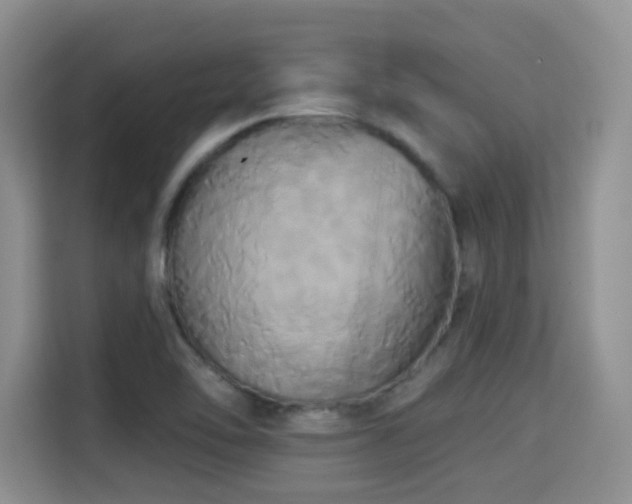 X0000115331462200911091235