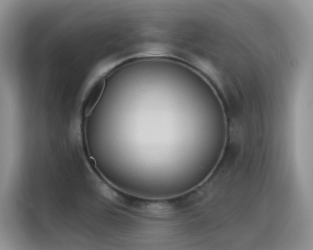 X0000115331464200911091235