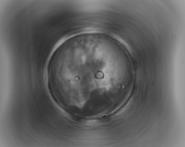 X0000115331467200911091235