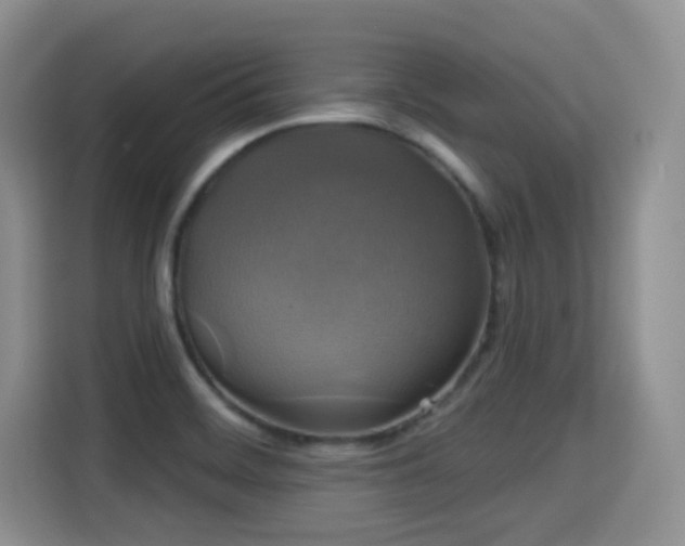 X0000115331468200911091235